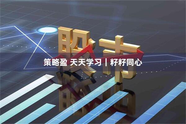 策略盈 天天学习｜籽籽同心