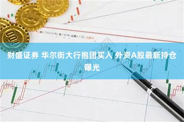 财盛证券 华尔街大行抱团买入 外资A股最新持仓曝光
