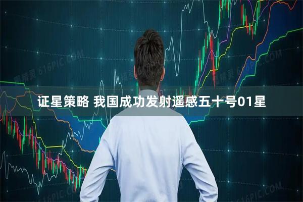 证星策略 我国成功发射遥感五十号01星